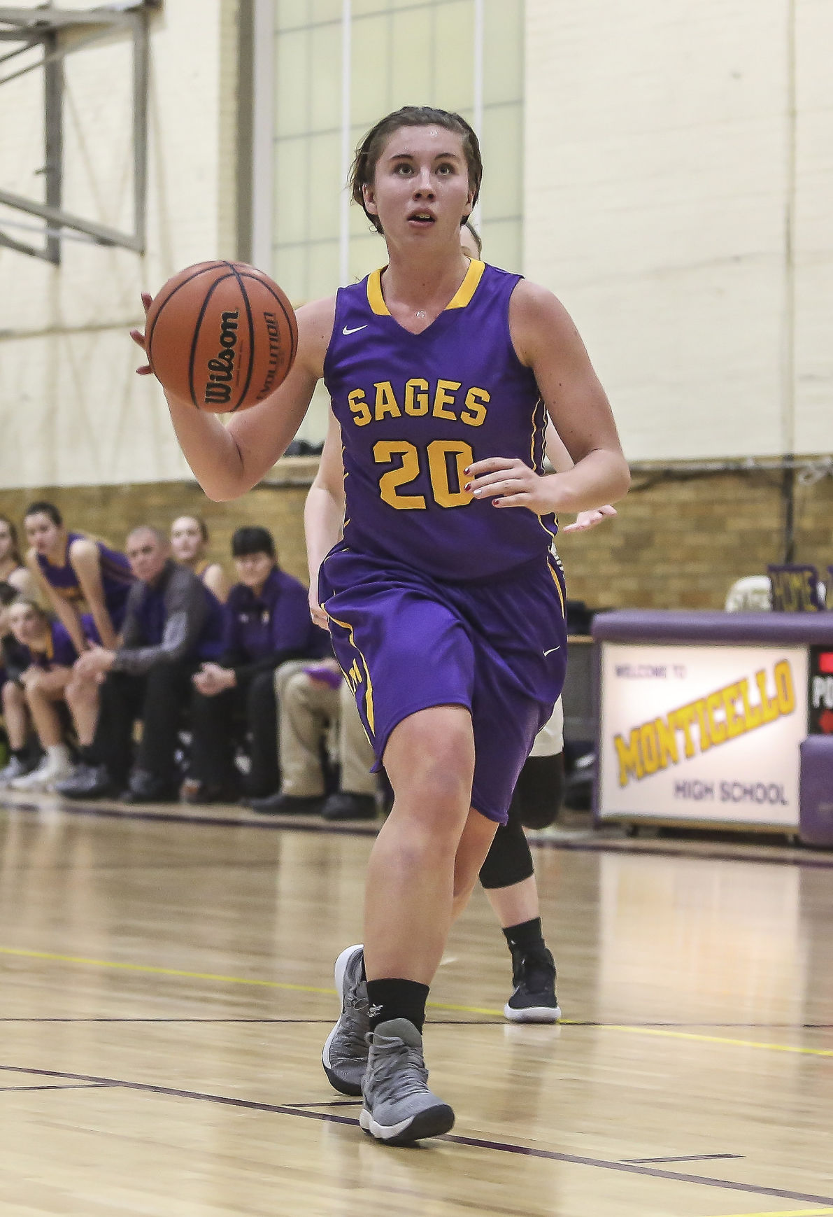 decgal monticello tuscola g 18 122817.JPG